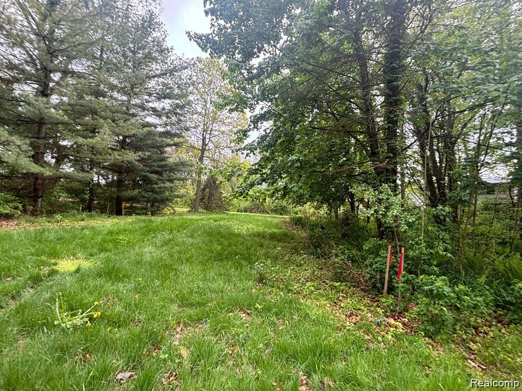 5961 Woodmire Property Photo 2
