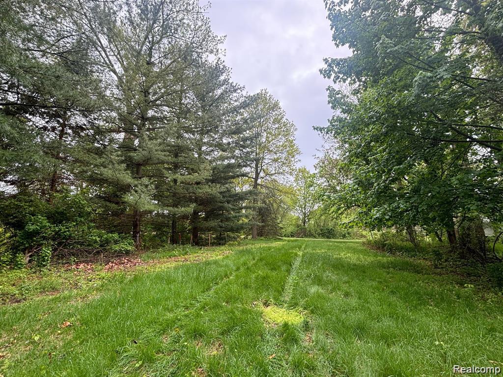 5961 Woodmire Property Photo 3