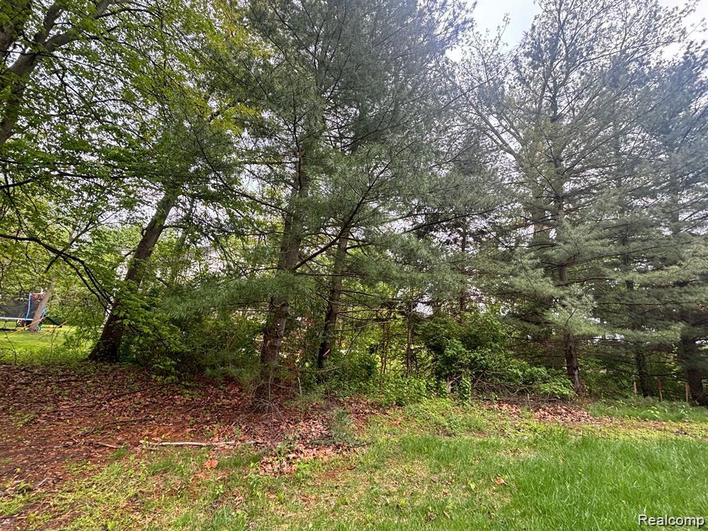 5961 Woodmire Property Photo 4