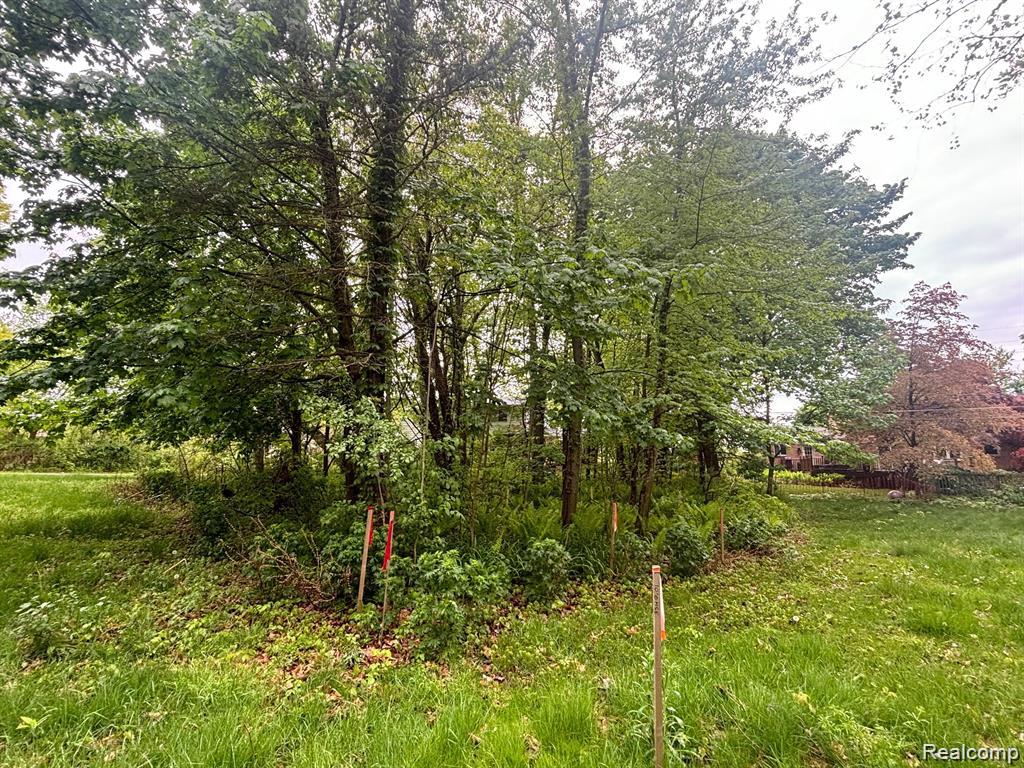 5961 Woodmire Property Photo 6