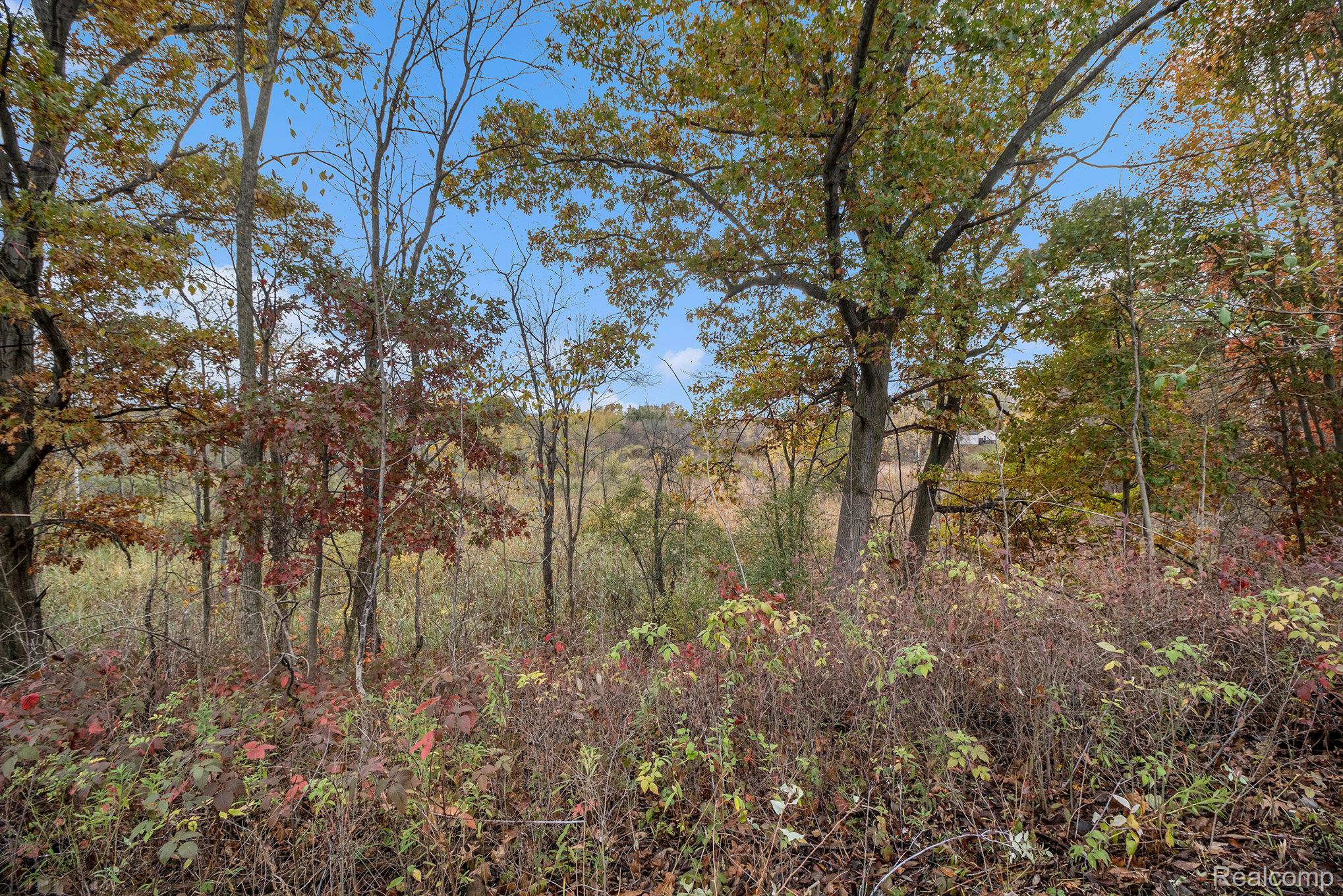 000 Markland Drive Property Photo 11