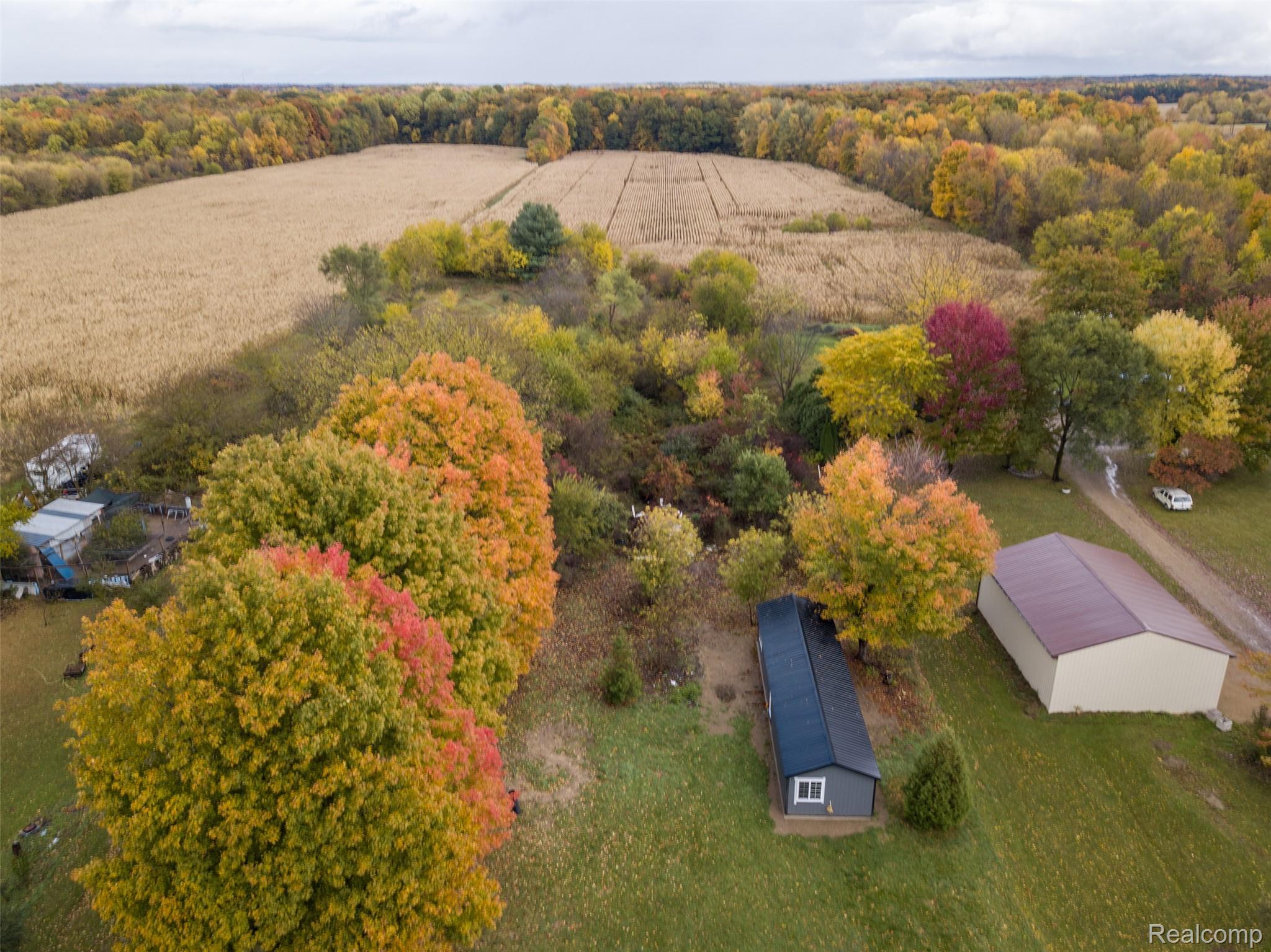 66301 County Road 681 Property Photo 9