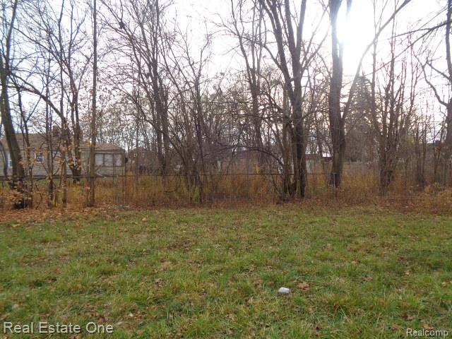 19987 Carrie Street Property Photo 24