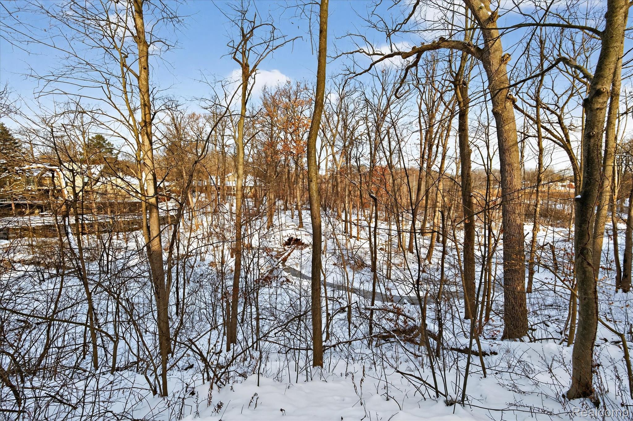 1193 Timberview Trail Property Photo 50