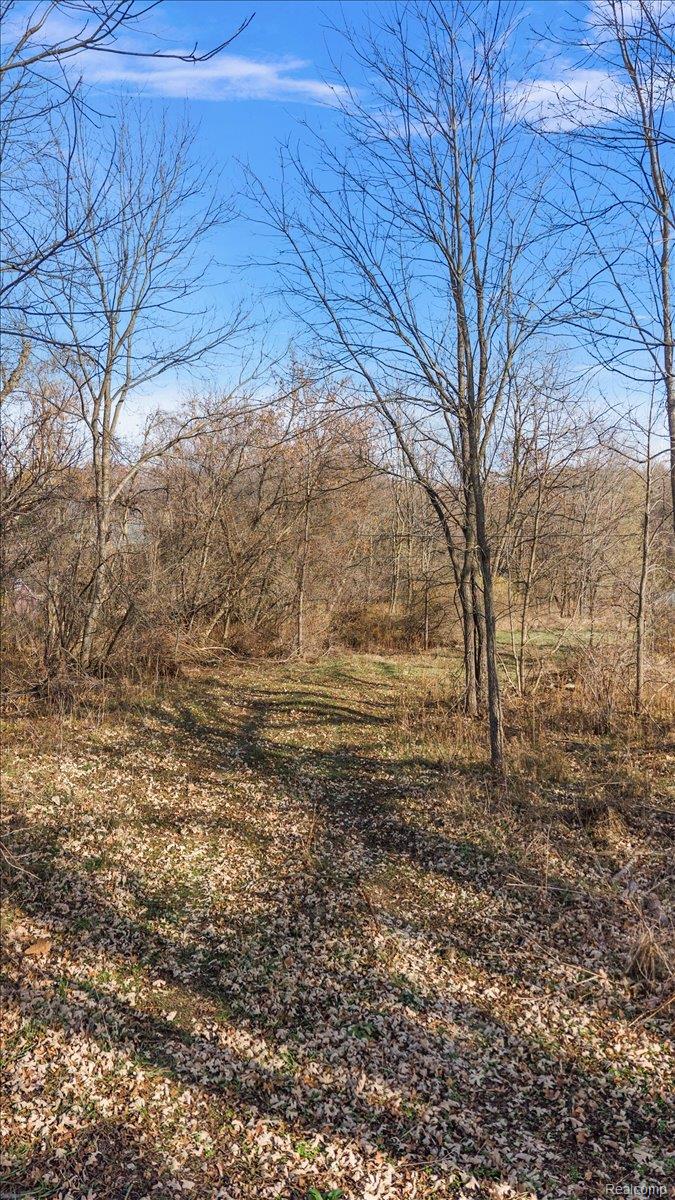 00 Collins Property Photo 13