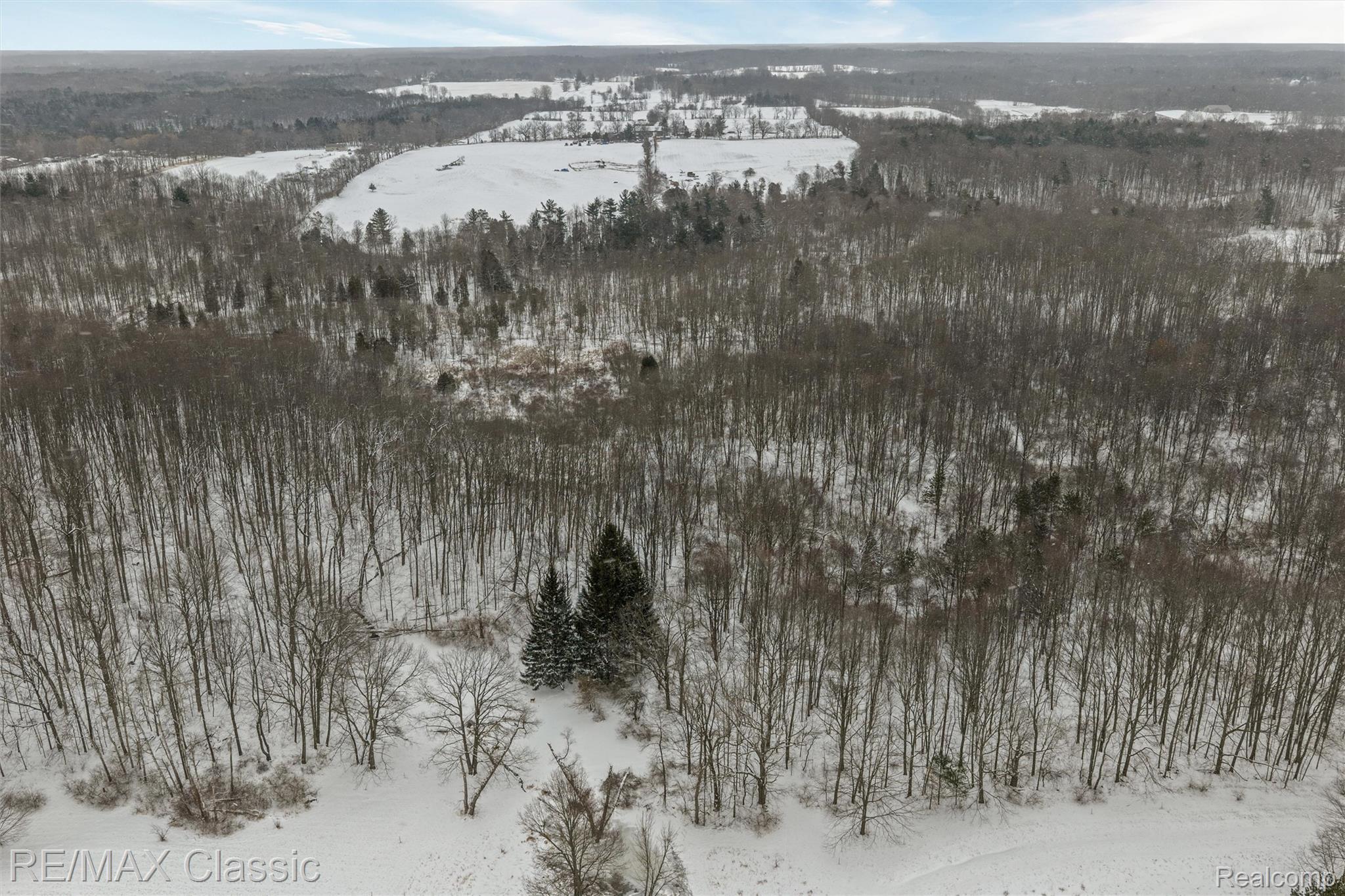 3737 Rock Valley Property Photo 6