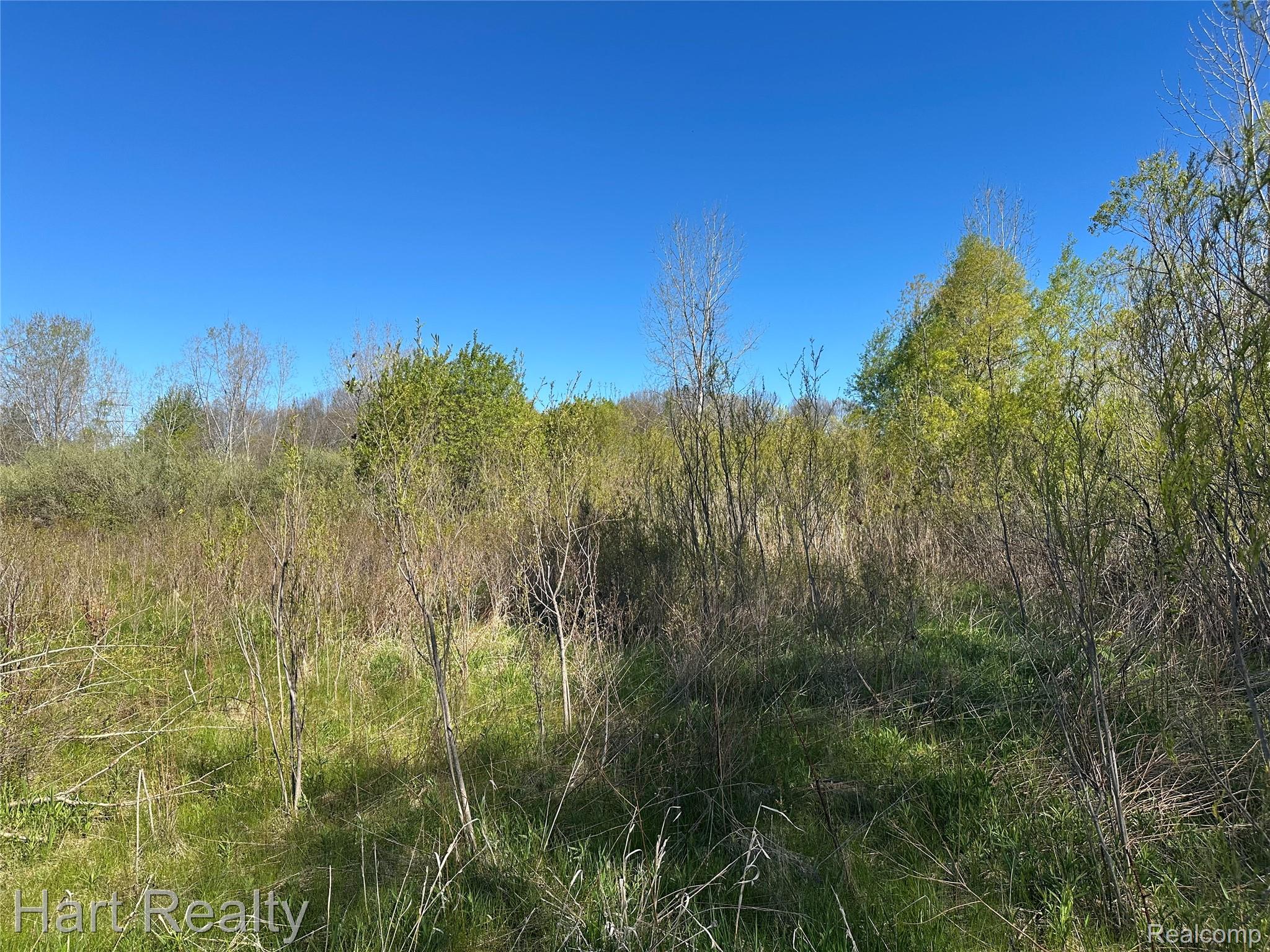 13 Single Tree Circle Property Photo 1