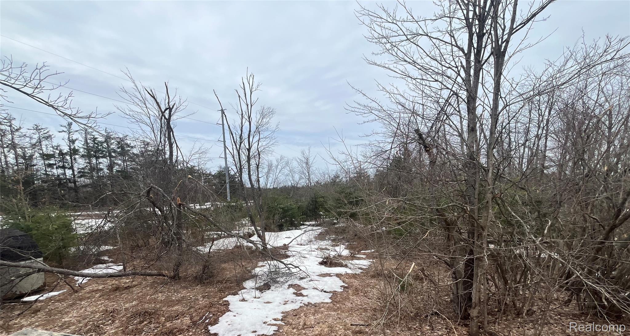 Lot 41 Altorf Strasse