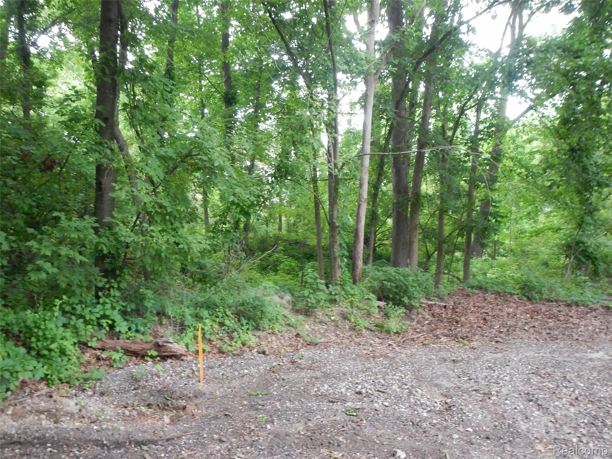 00 Johnson Drive | Lot 2 Property Photo 1
