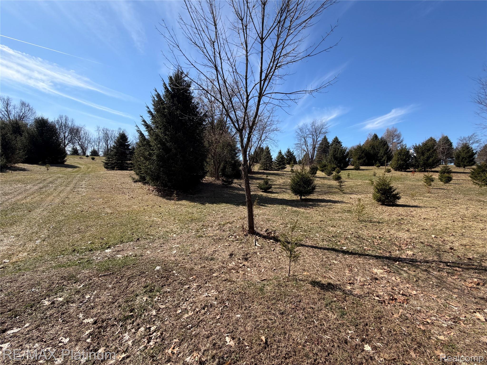 Vl Rohn Road Property Photo 3