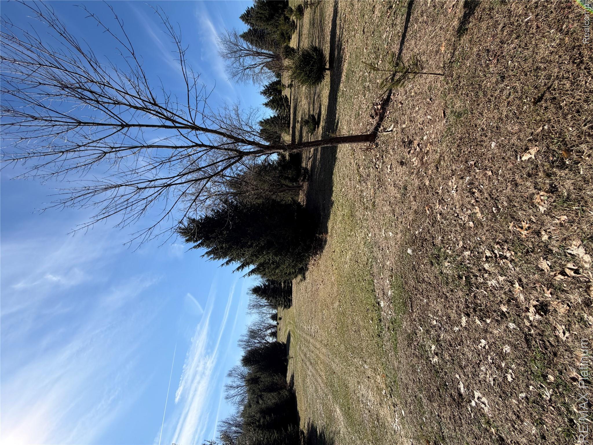 Vl Rohn Road Property Photo 25