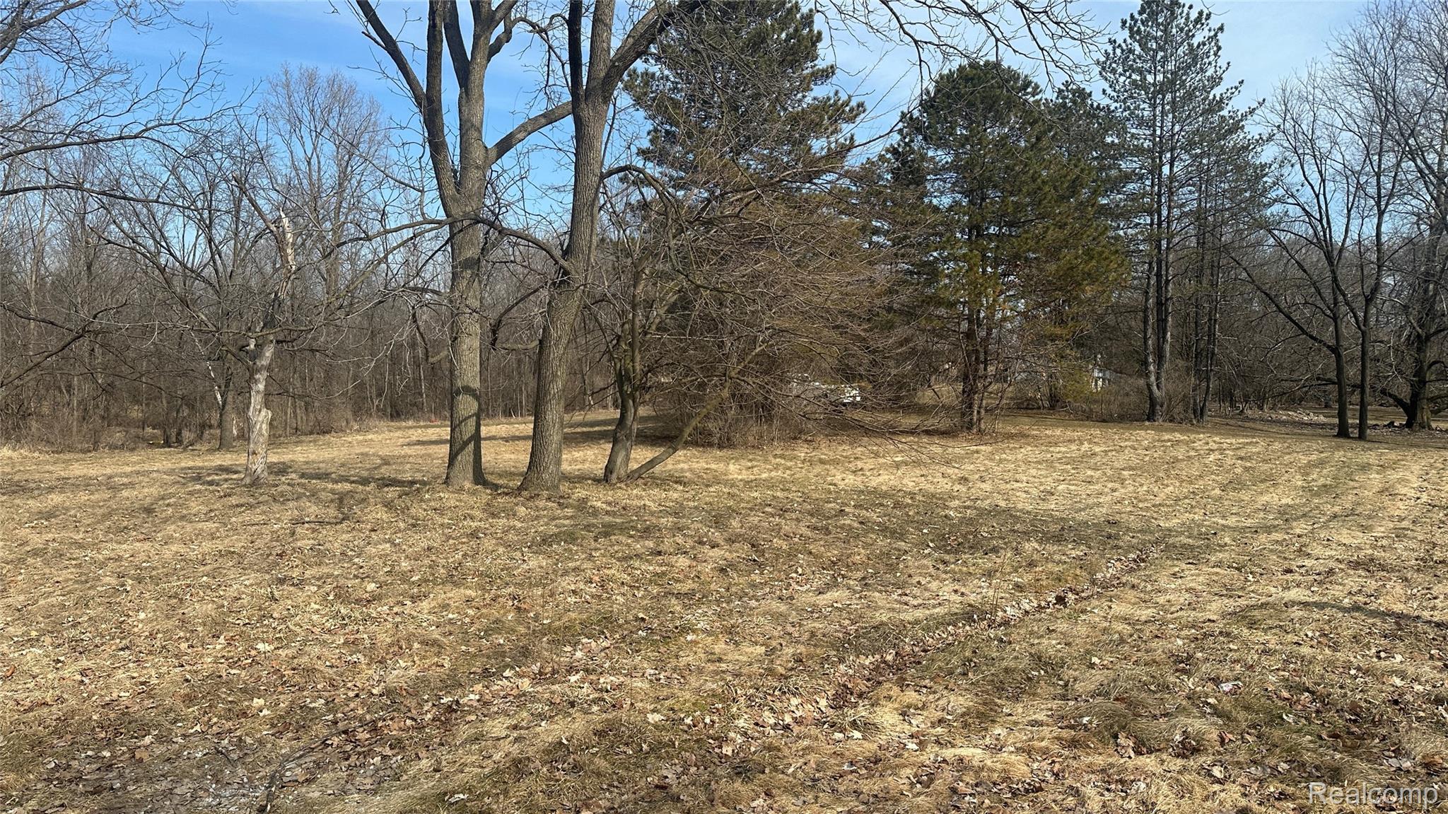 0 Jordan Lake Avenue Property Photo 7