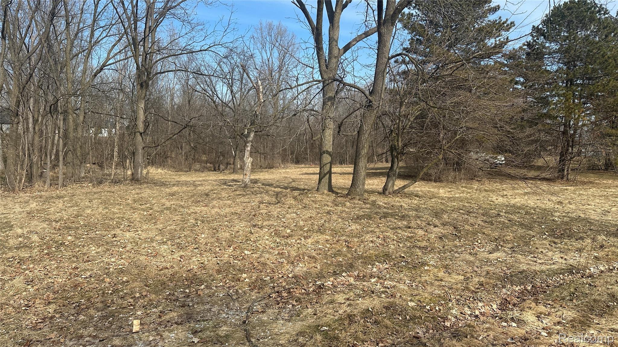 0 Jordan Lake Avenue Property Photo 14