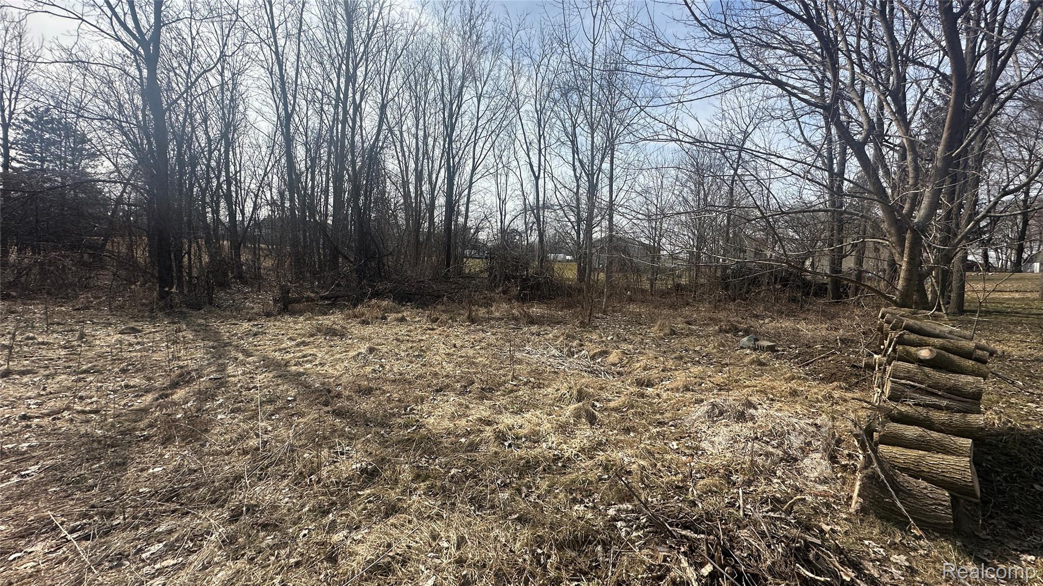 0 Jordan Lake Avenue Property Photo 20