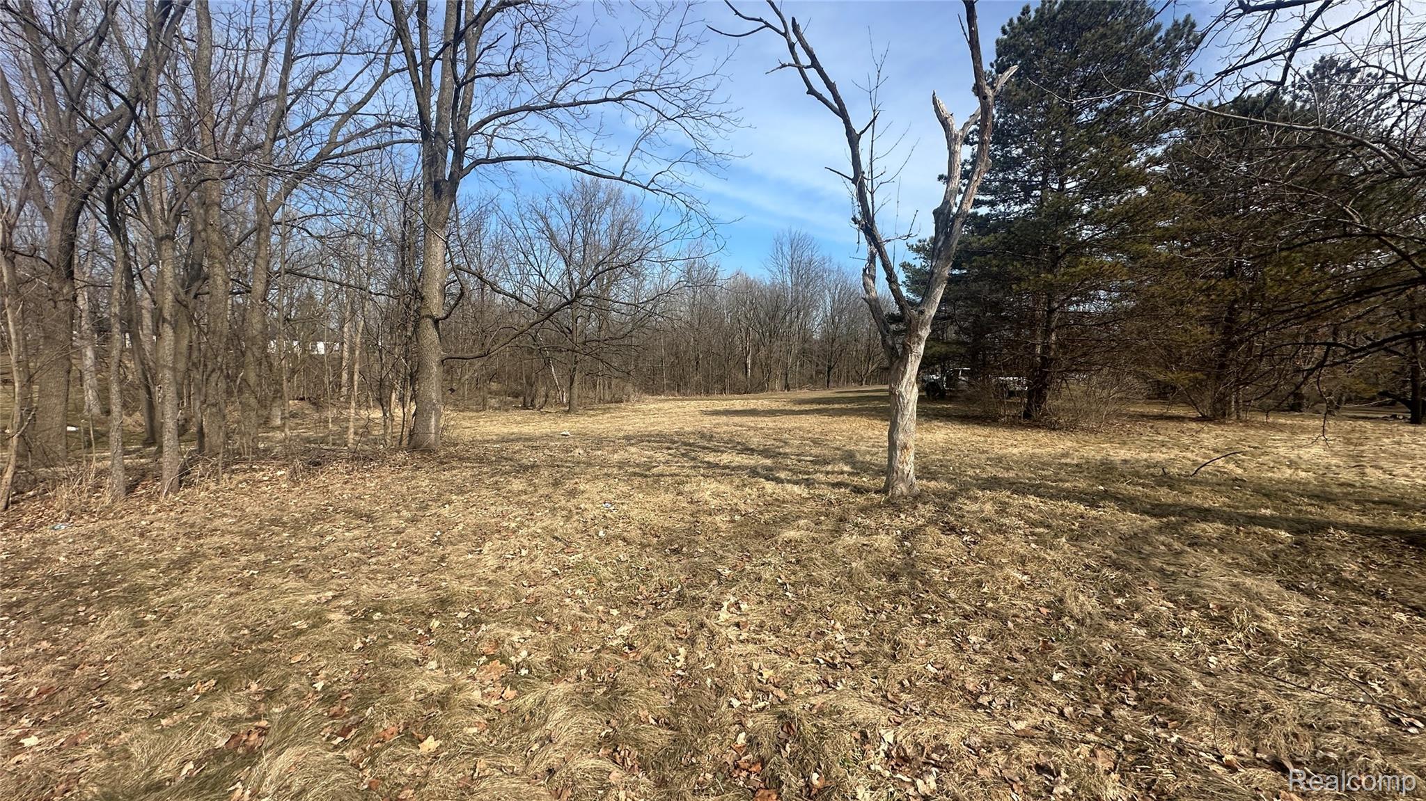 0 Jordan Lake Avenue Property Photo 21