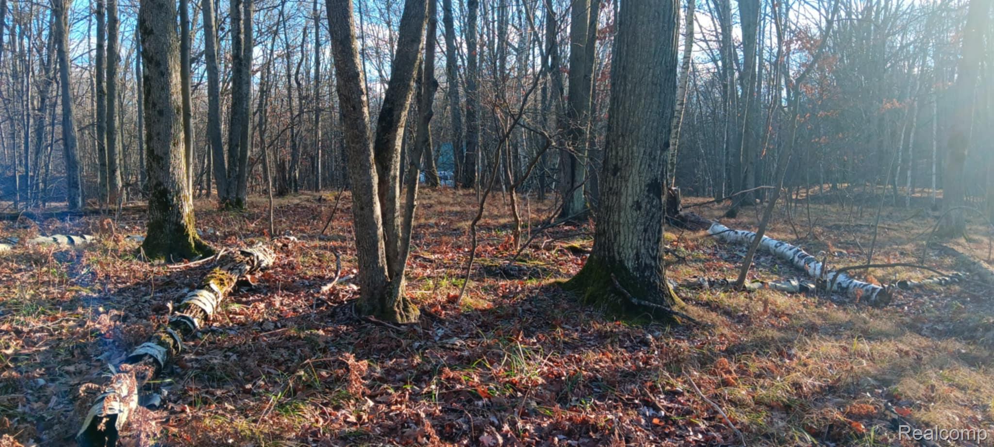 1782 Hemlock Lane Property Photo 1