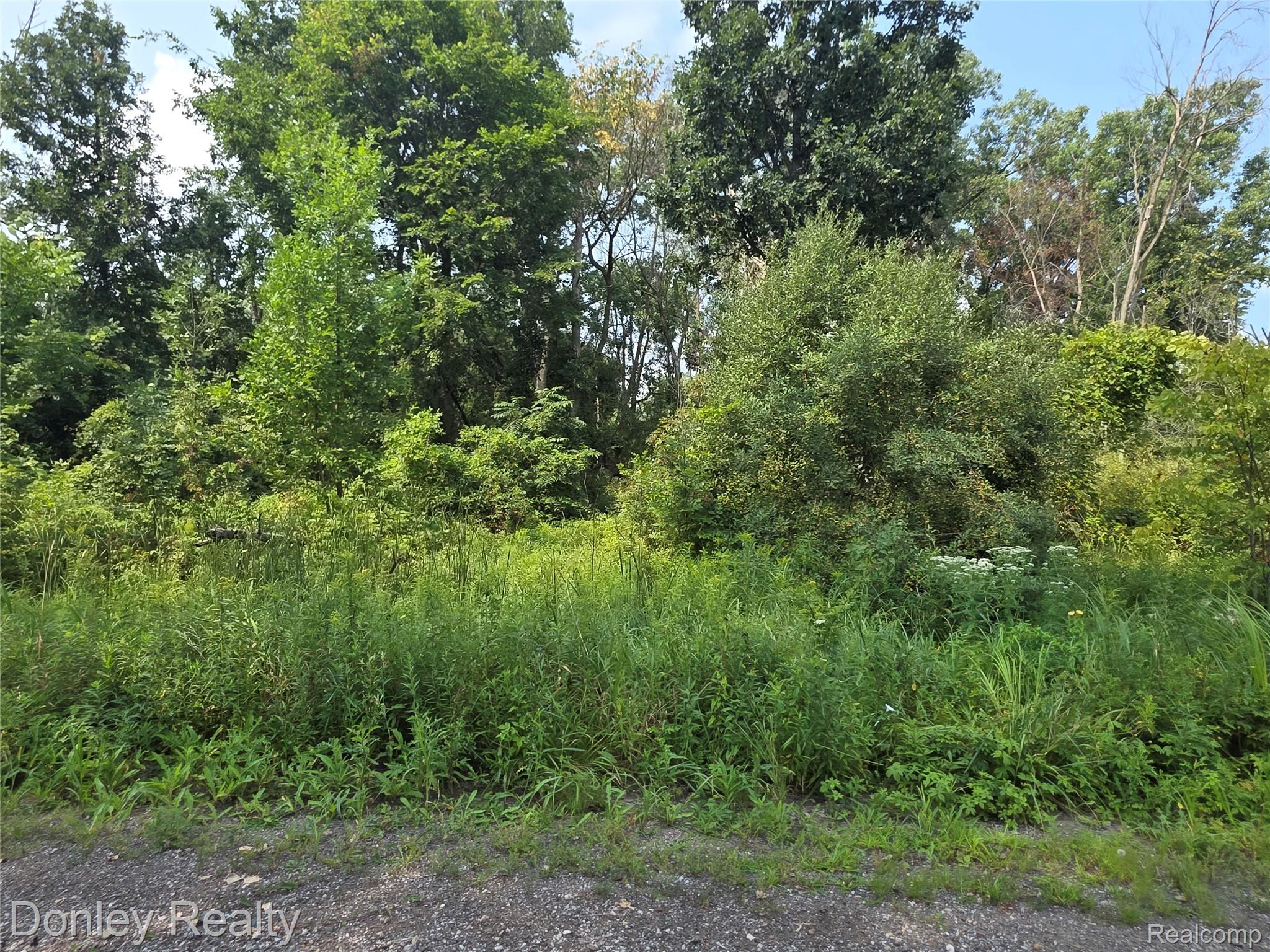 20 Vacant Lots Concord, Cranbrook & Tulane Property Photo 3