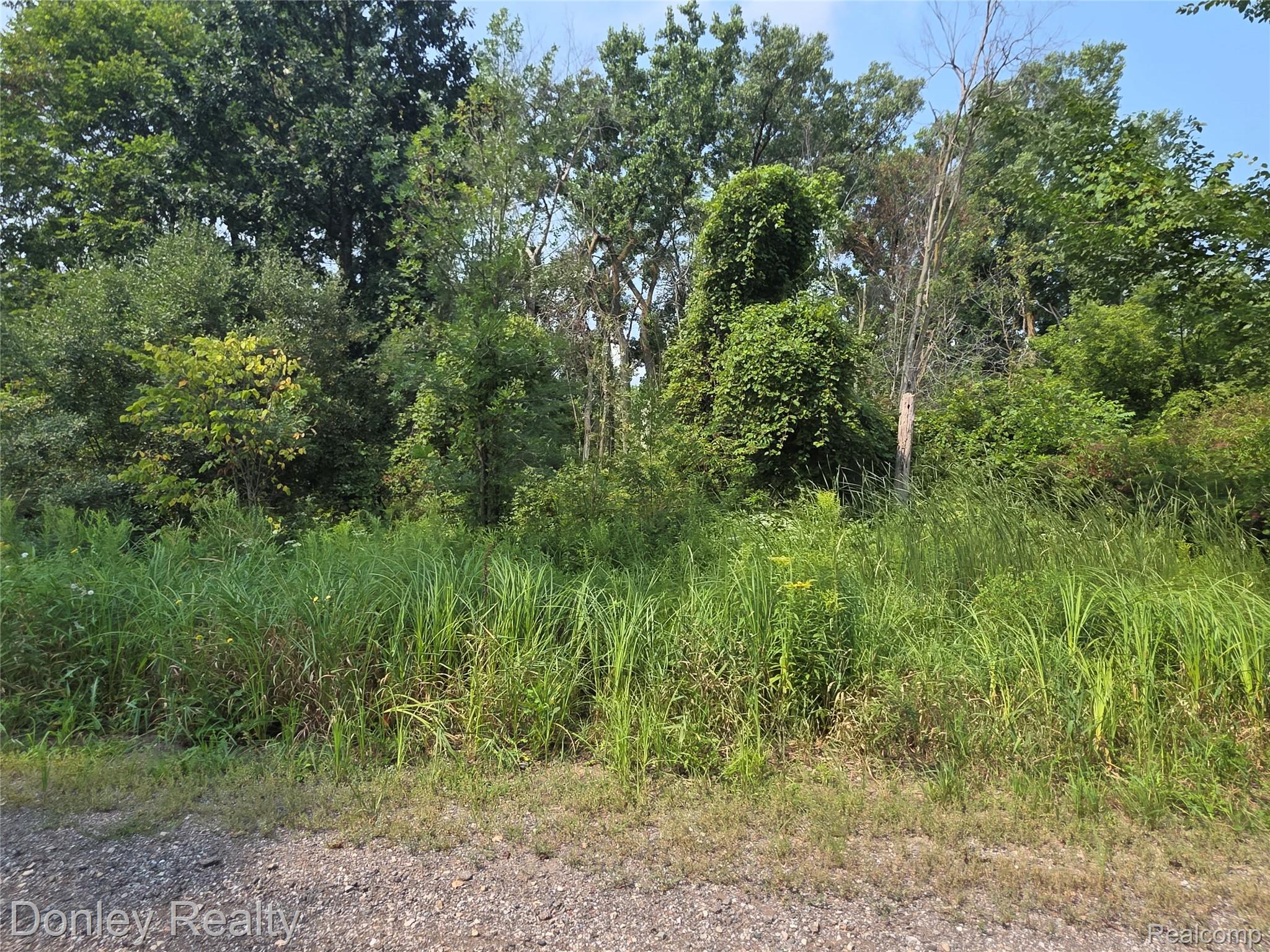 20 Vacant Lots Concord, Cranbrook & Tulane Property Photo 4