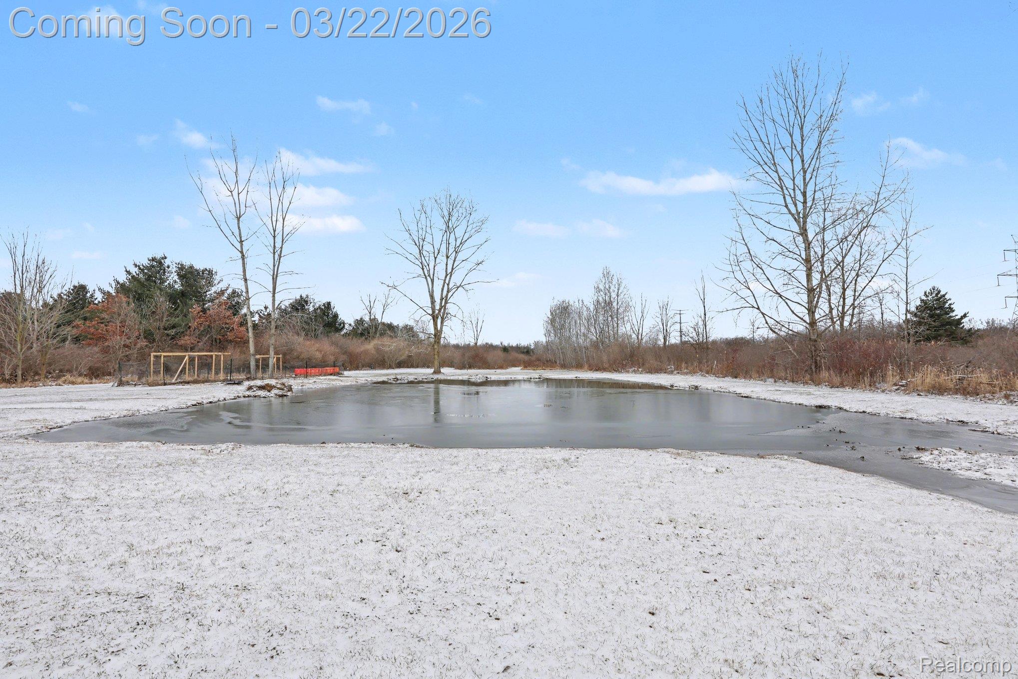 4458 Palms Road Property Photo 4