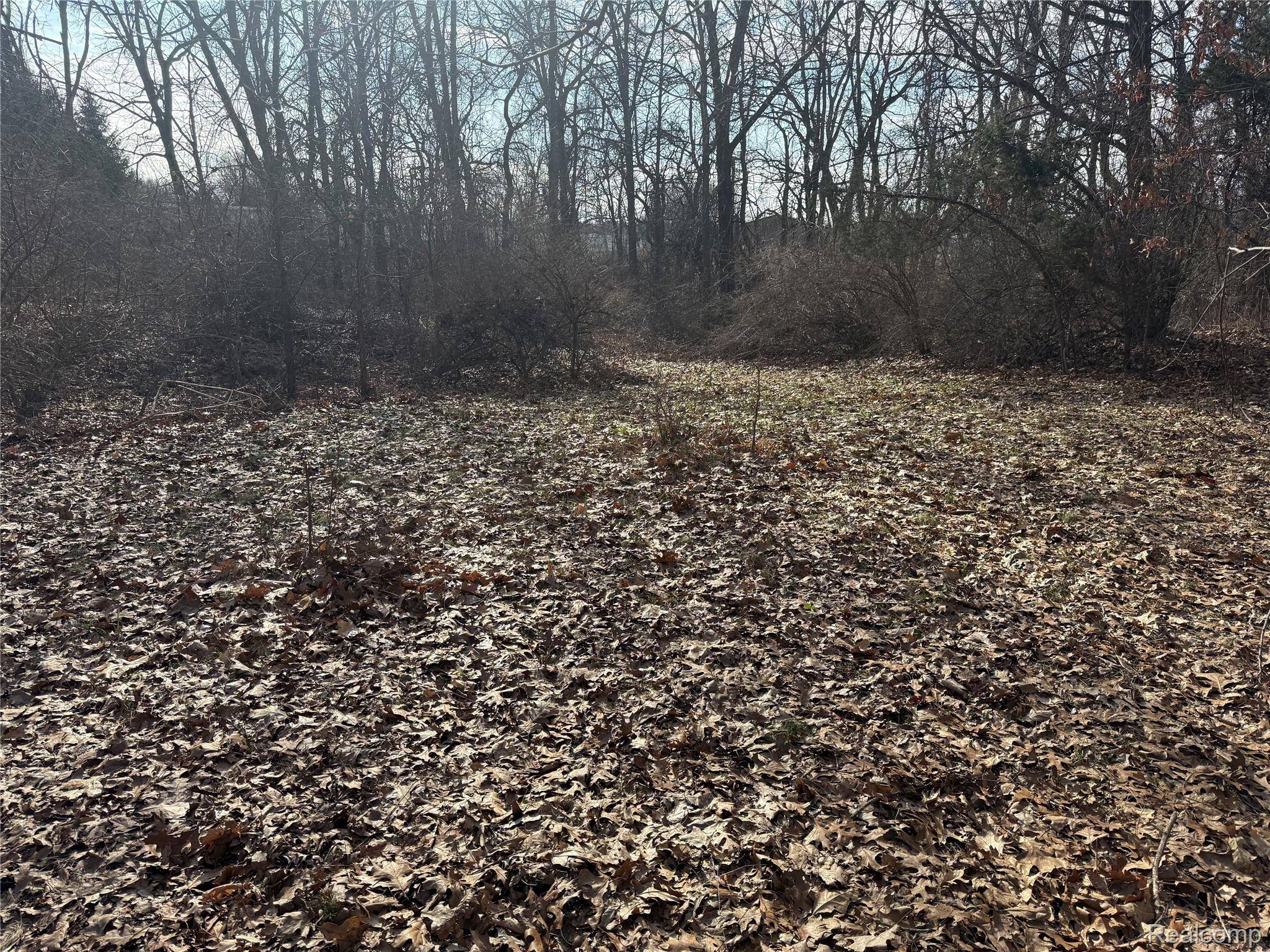 2096 Hunter Road Property Photo 7