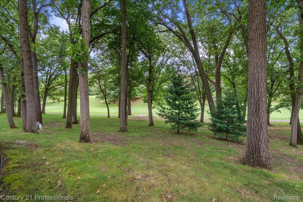 5423 Bristol Parke Drive Property Photo 62