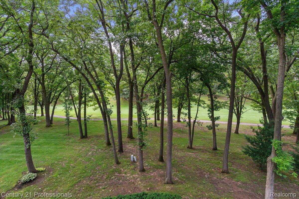 5423 Bristol Parke Drive Property Photo 66