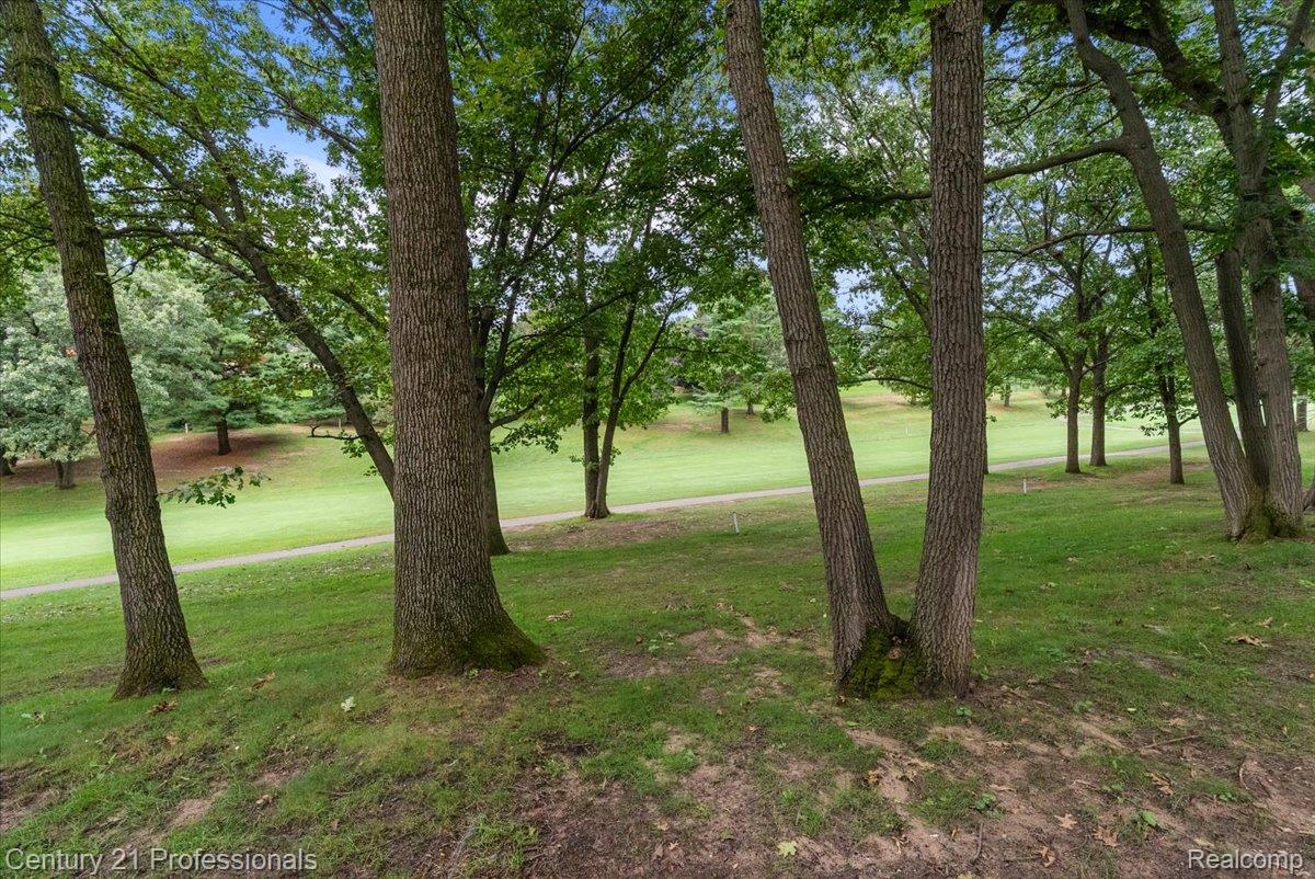 5423 Bristol Parke Drive Property Photo 72