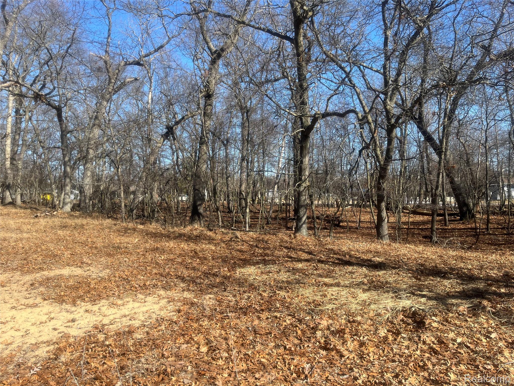 0 White Sands Drive Property Photo 1