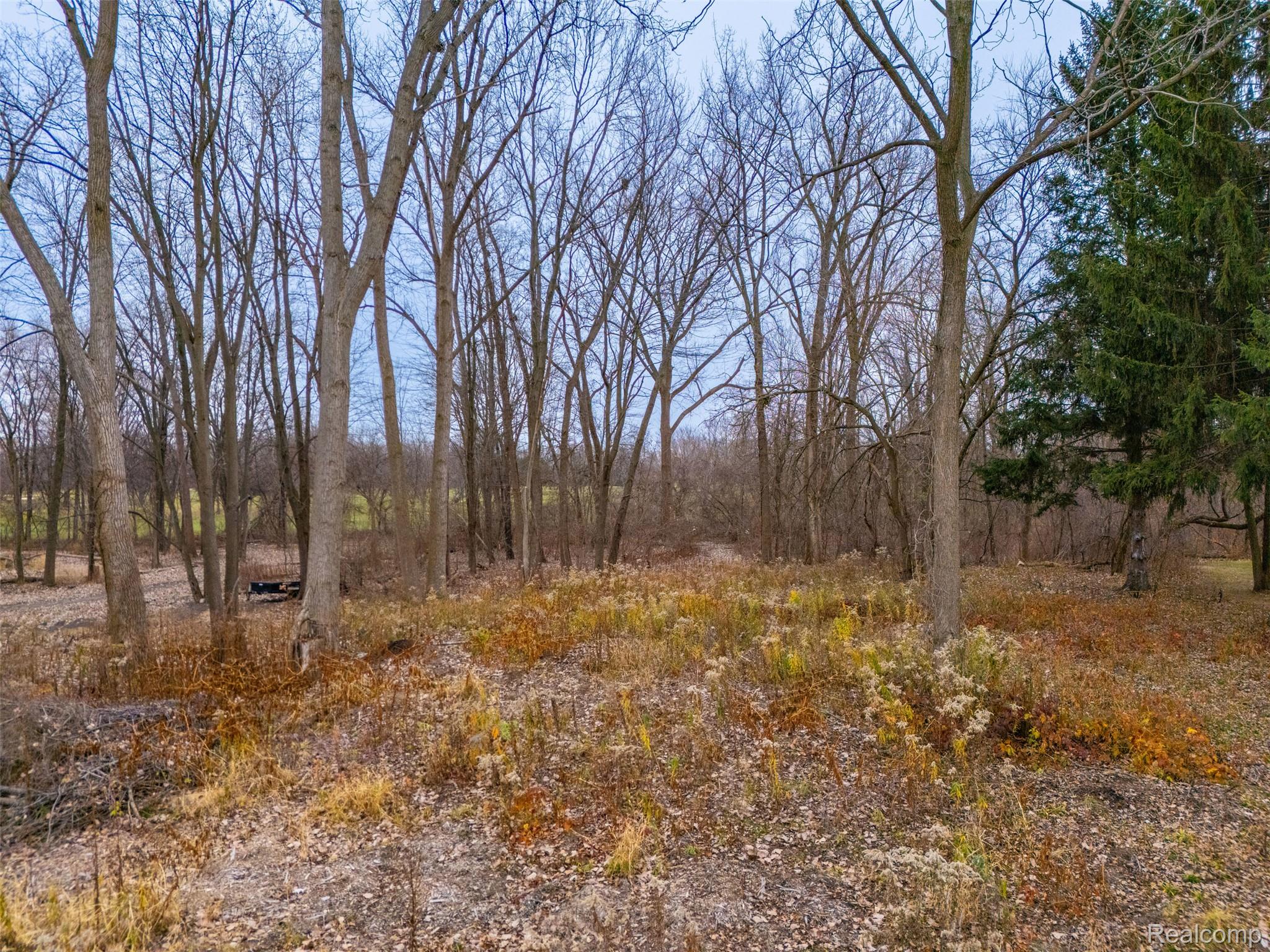 13000 Plumbrook Road Property Photo 9
