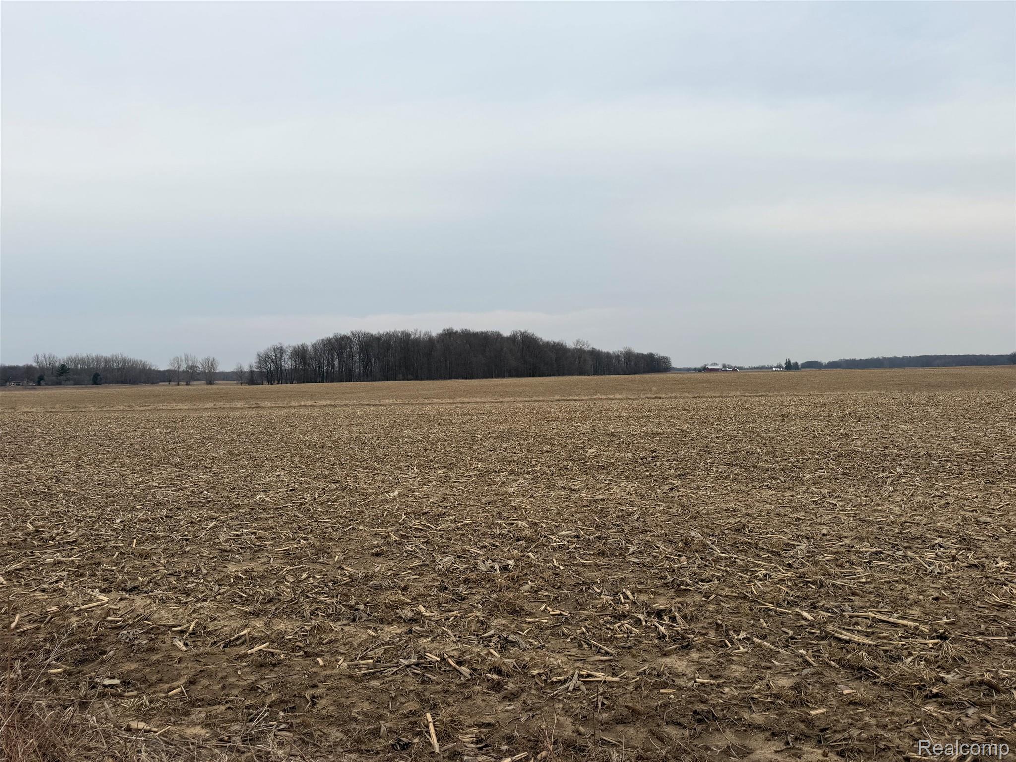 V/l Ringle Property Photo 1