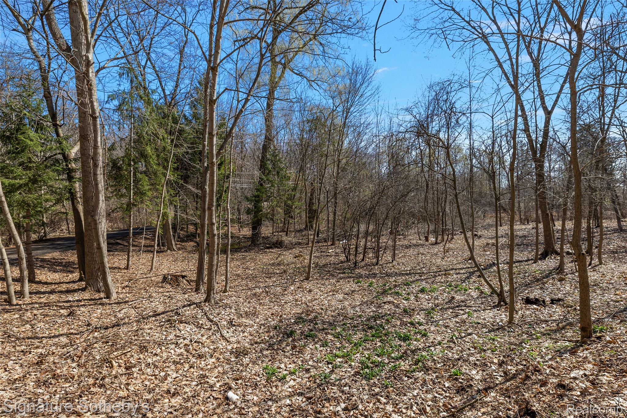 4650 Lahser Road Property Photo 49