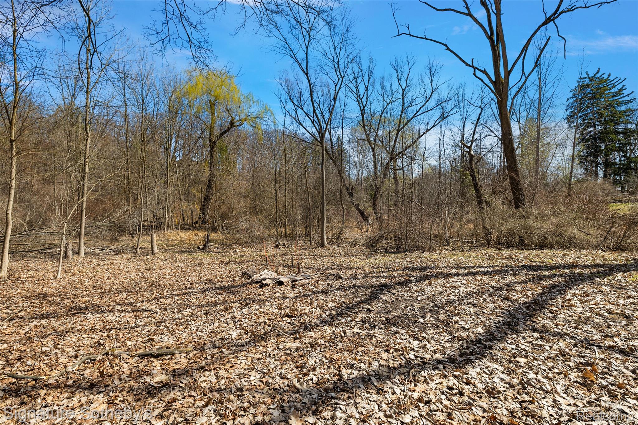 4650 Lahser Road Property Photo 50