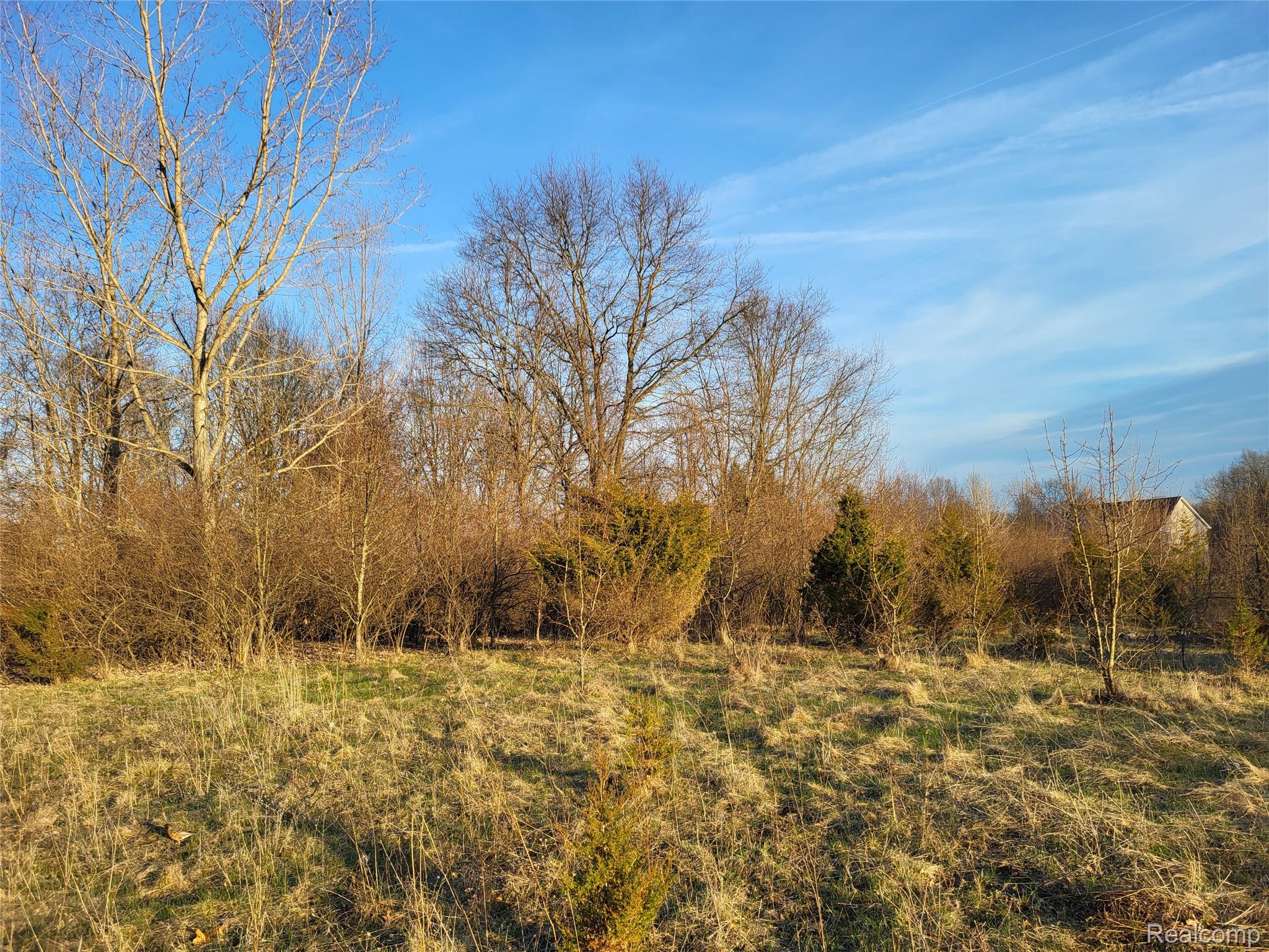 Tbd Parcel B Olivia Drive Property Photo 1