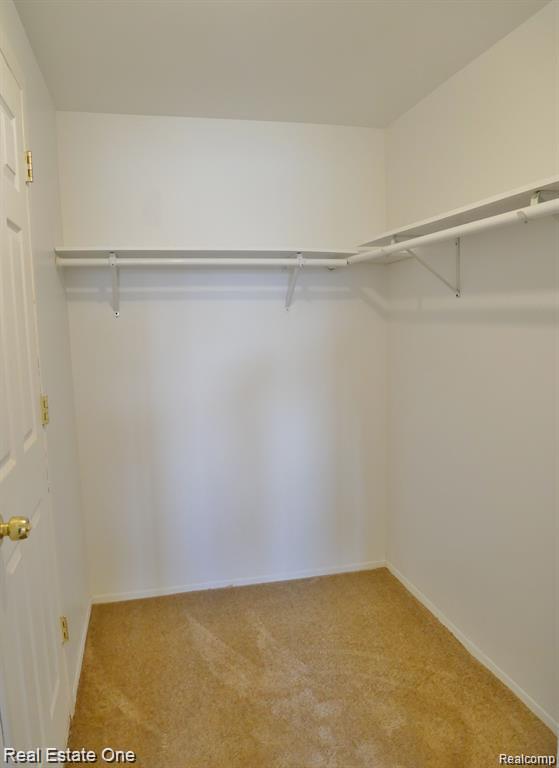 5102 Franklin Park Drive Property Photo 22