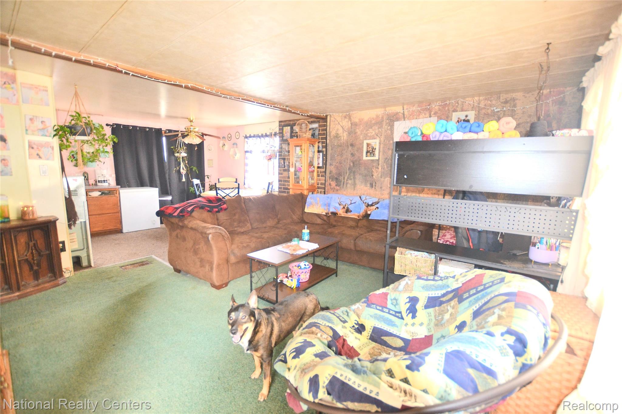 3088 7 Mile Road Property Photo 5