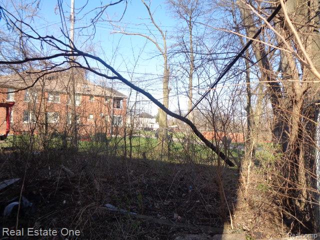 9928 Belleterre Street Property Photo 20