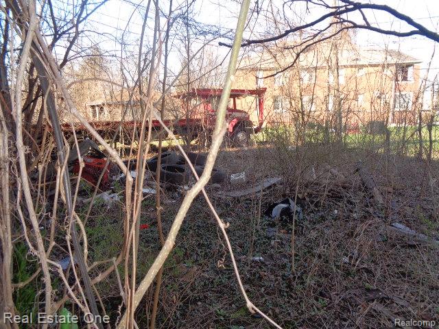 9928 Belleterre Street Property Photo 21