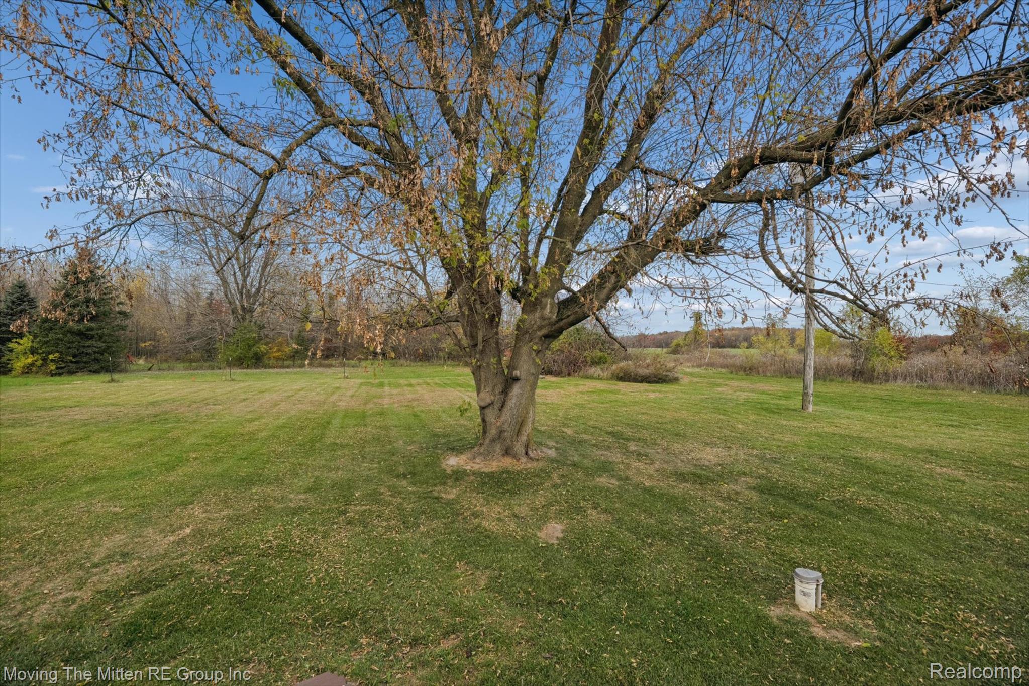 12000 Plank Road Property Photo 39