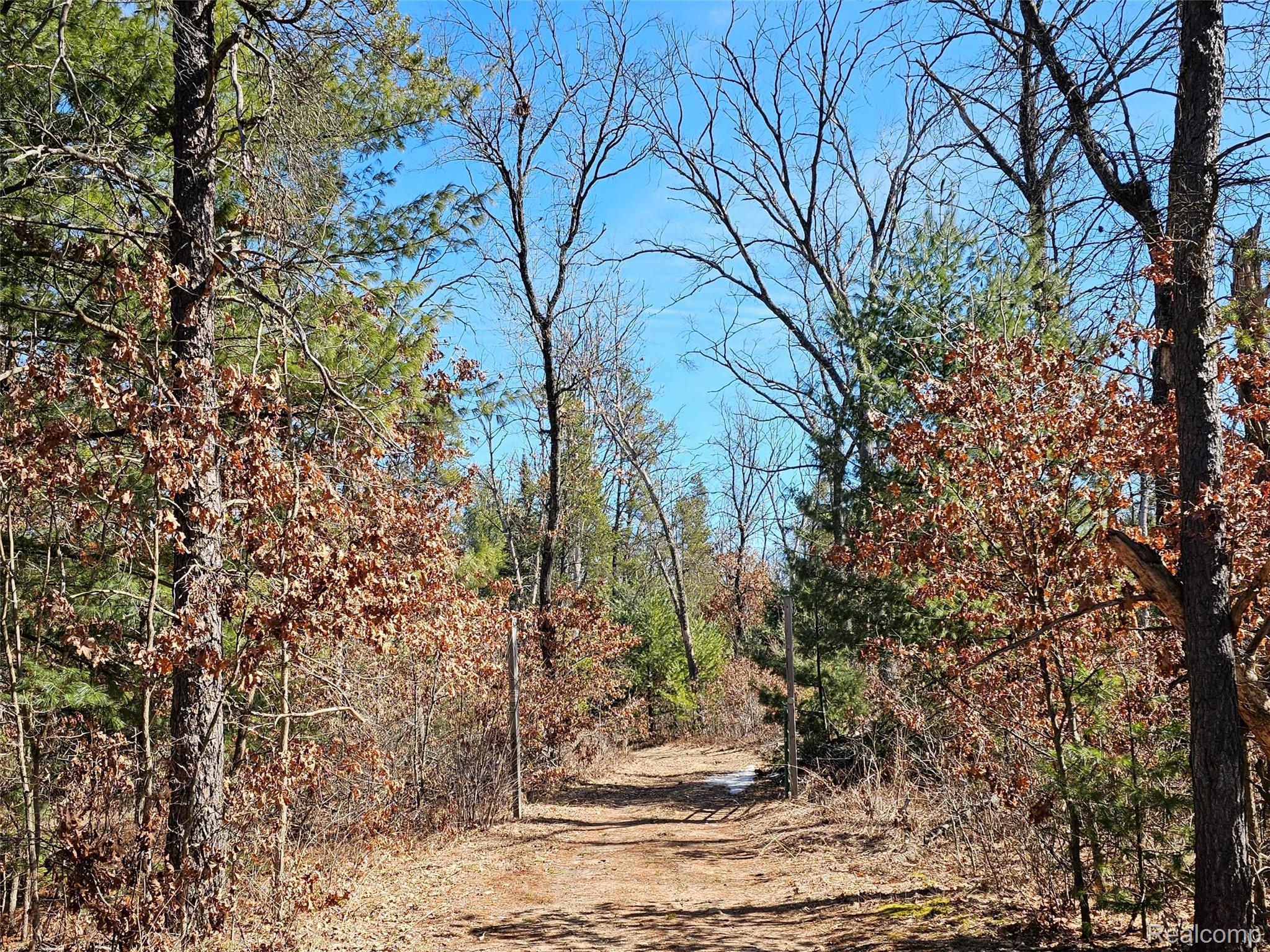3770 Bovee Lake Road Property Photo 1