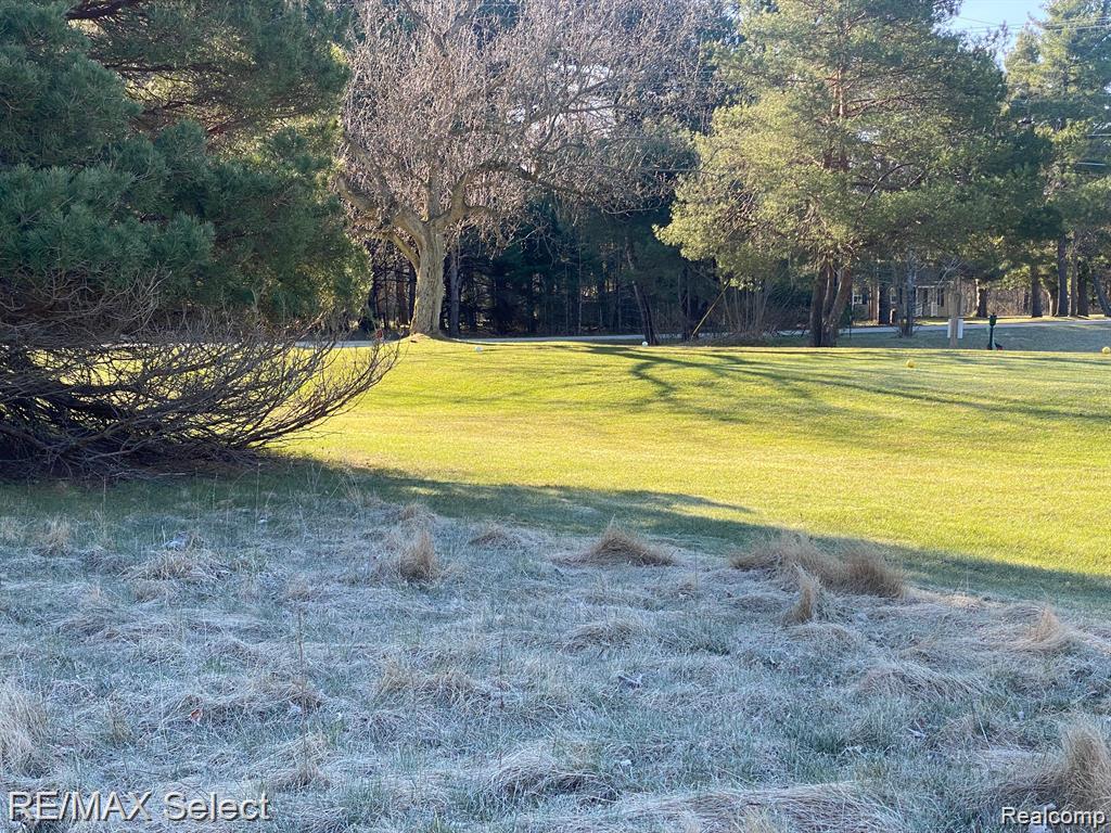 0 Weeden Road Property Photo 4