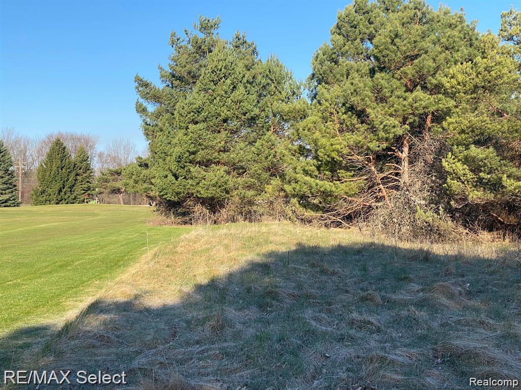 0 Weeden Road Property Photo 7