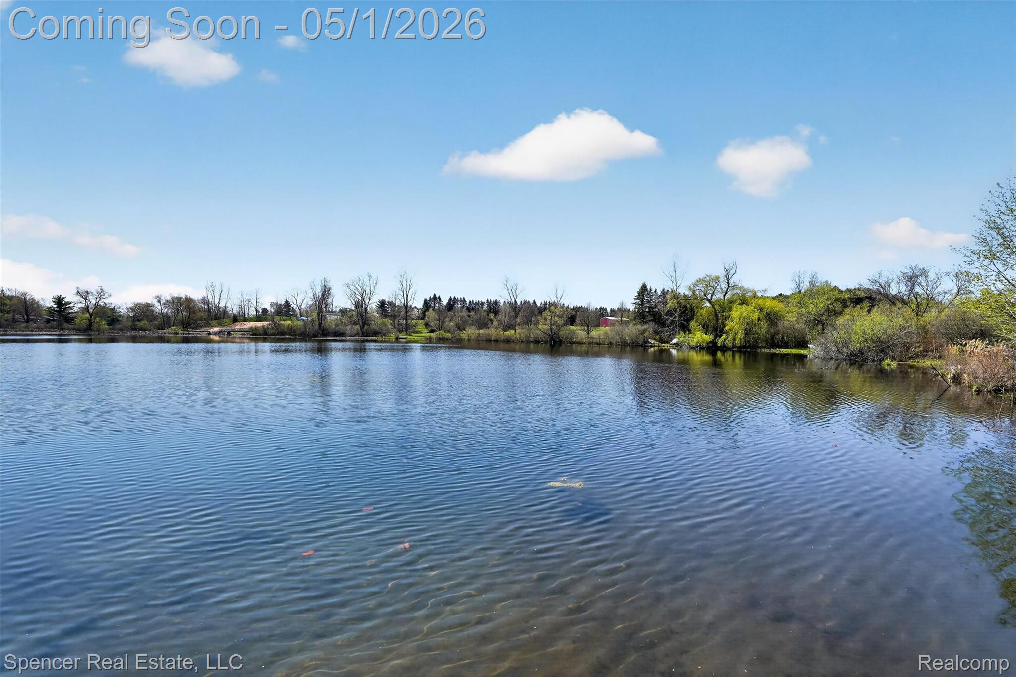 604 Gaffney Property Photo 48
