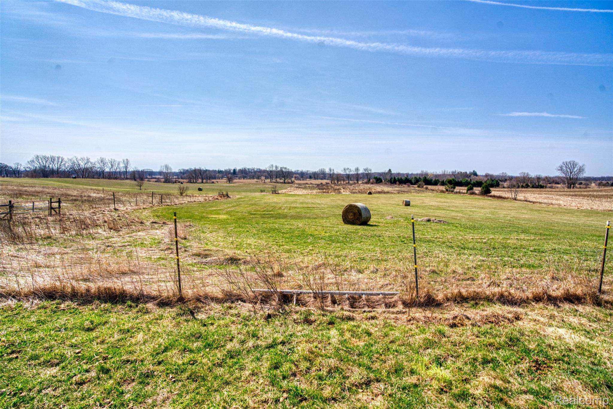 12459 Earl Road Property Photo 5