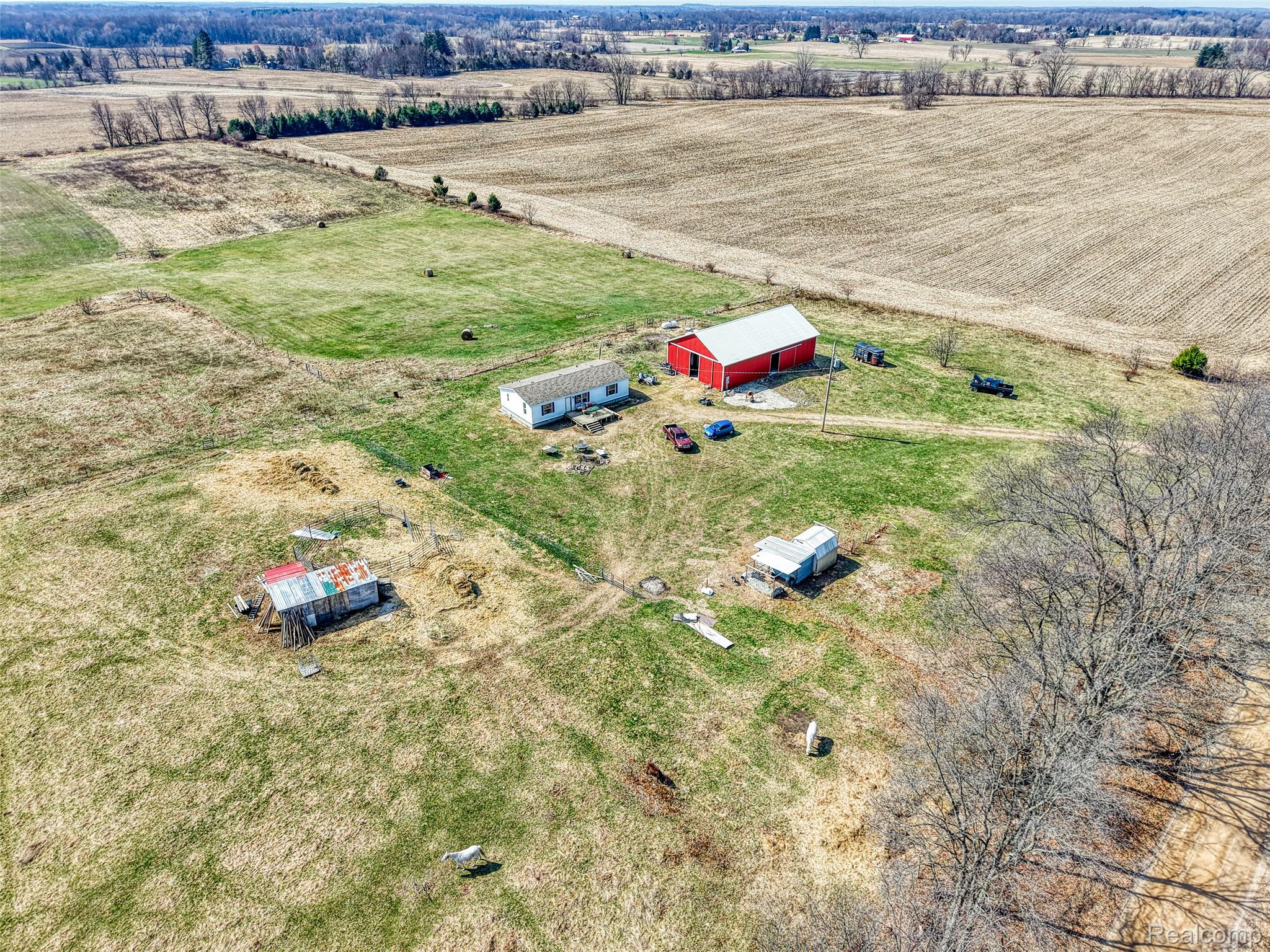 12459 Earl Road Property Photo 30