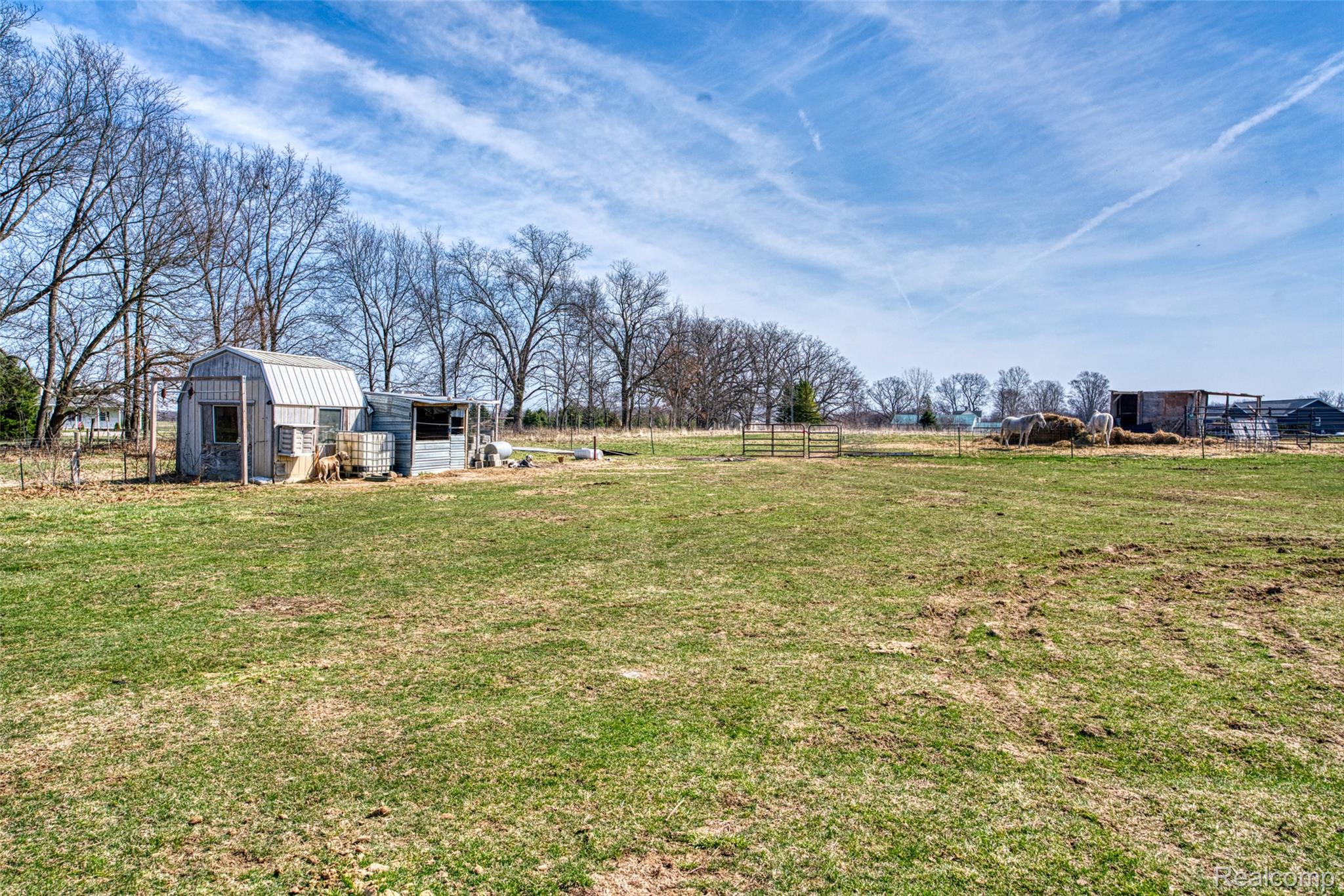 12459 Earl Road Property Photo 32