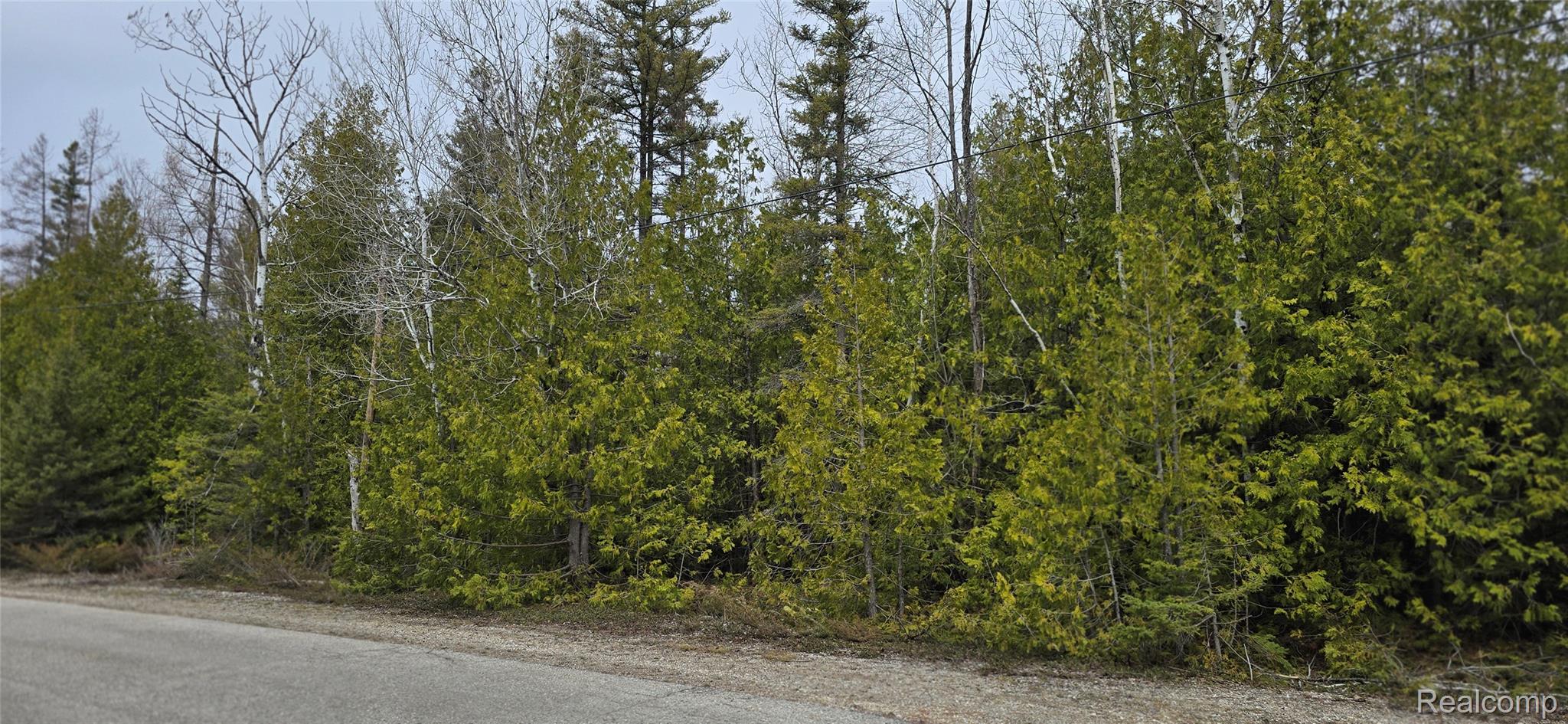 Vl Lot 332 Balsam Drive Property Photo 1