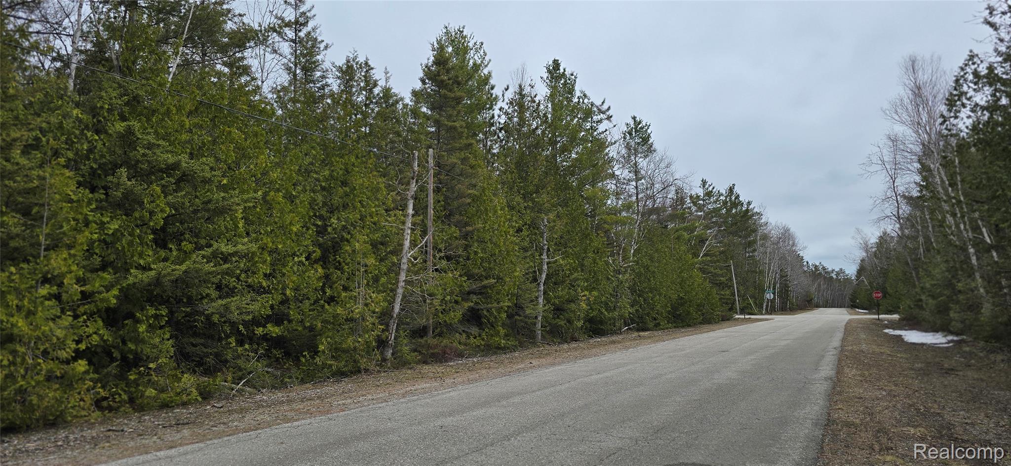 Vl Lot 332 Balsam Drive Property Photo 2