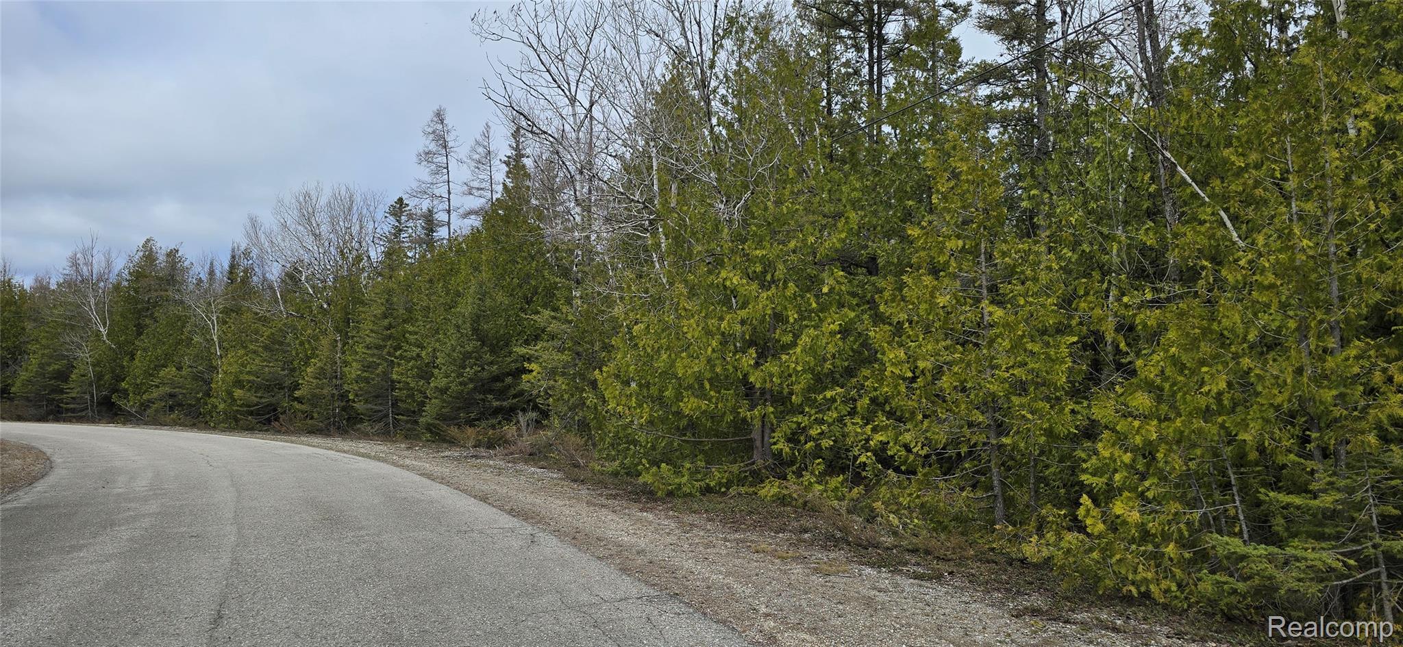 Vl Lot 332 Balsam Drive Property Photo 3