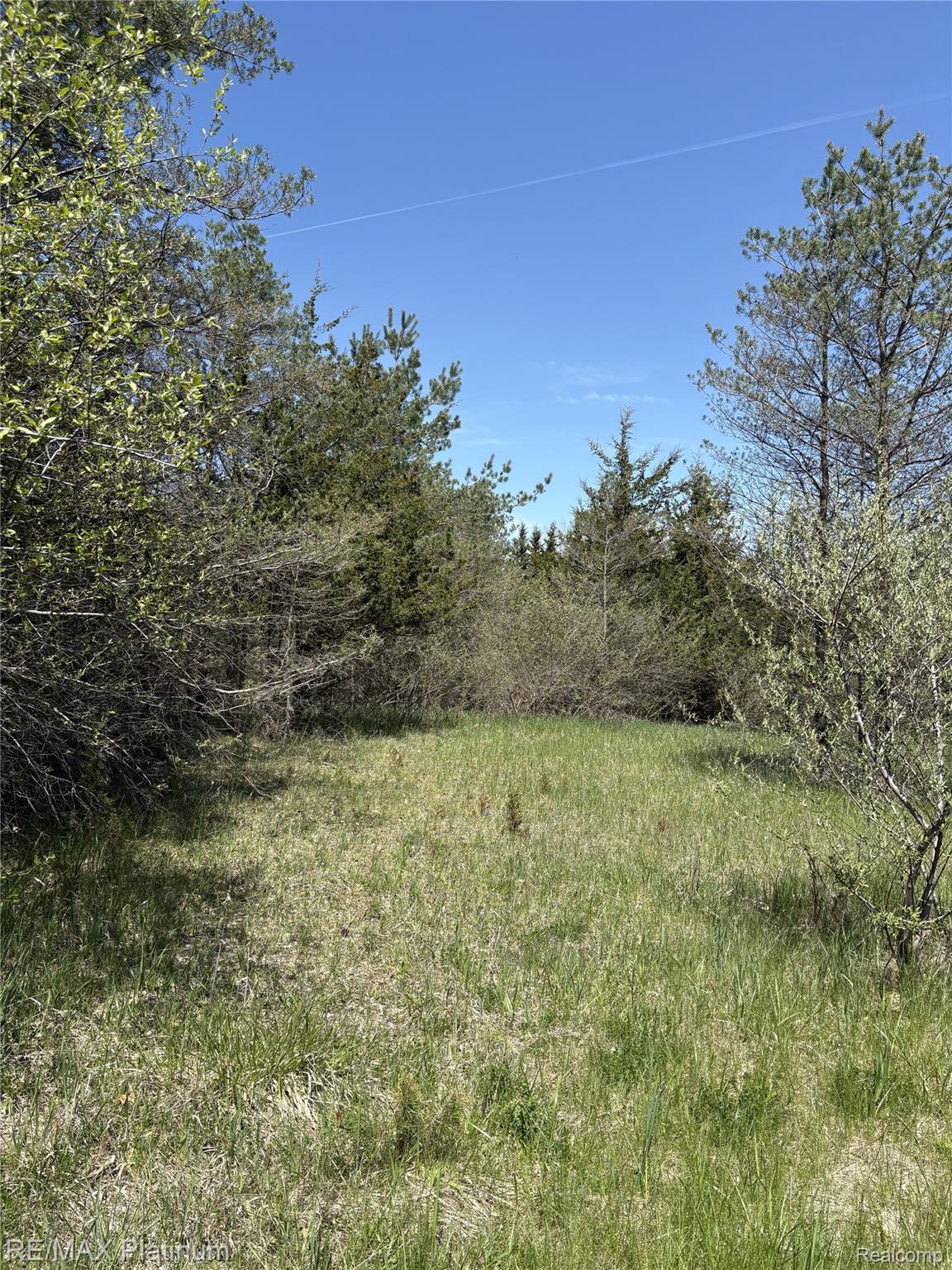 Parcel 7 Fisher Road Property Photo 2