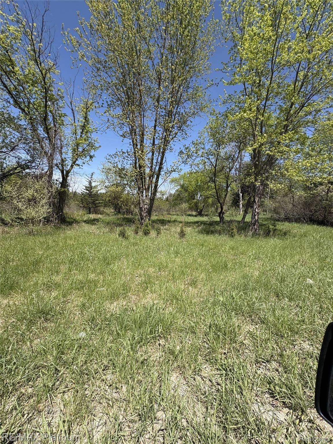 Parcel 7 Fisher Road Property Photo 4